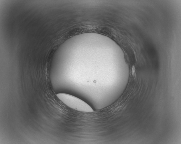 X0000073901203200608110927