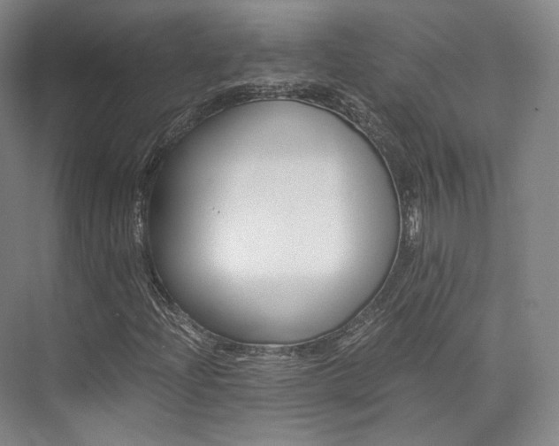 X0000073901204200608110927