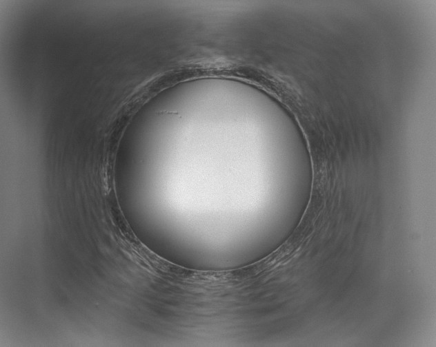 X0000073901205200608110927