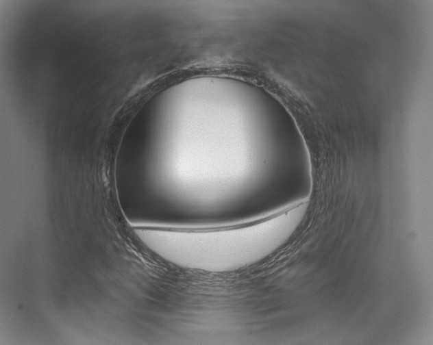 X0000073901206200608110927