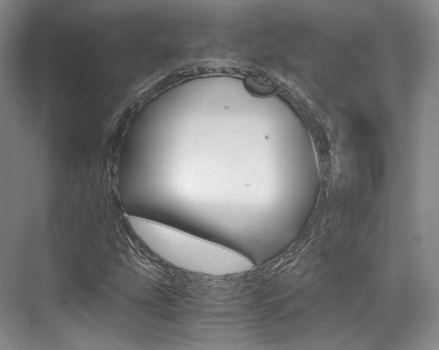 X0000073901207200608110927