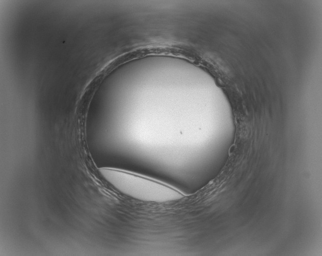 X0000073901208200608110927