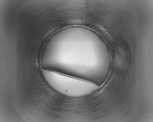 X0000073901209200608110927