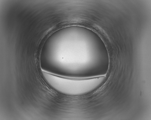 X0000073901210200608110927