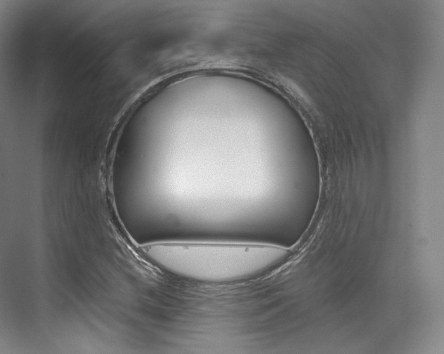 X0000073901212200608110927