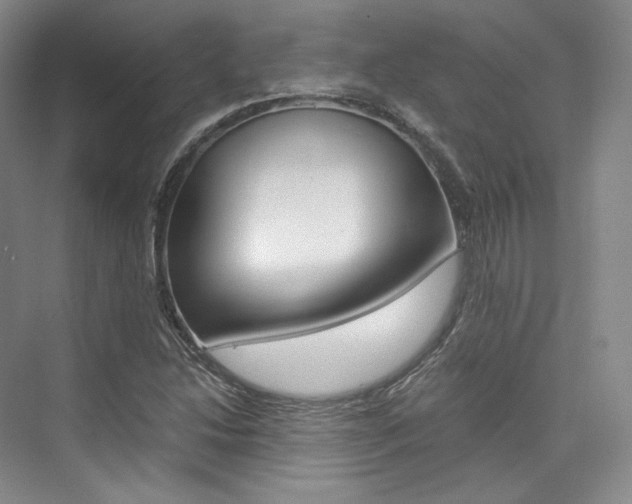 X0000073901214200608110927