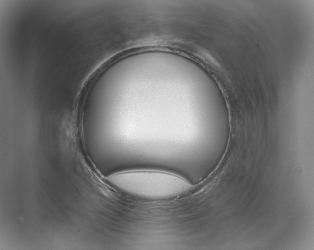 X0000073901216200608110927