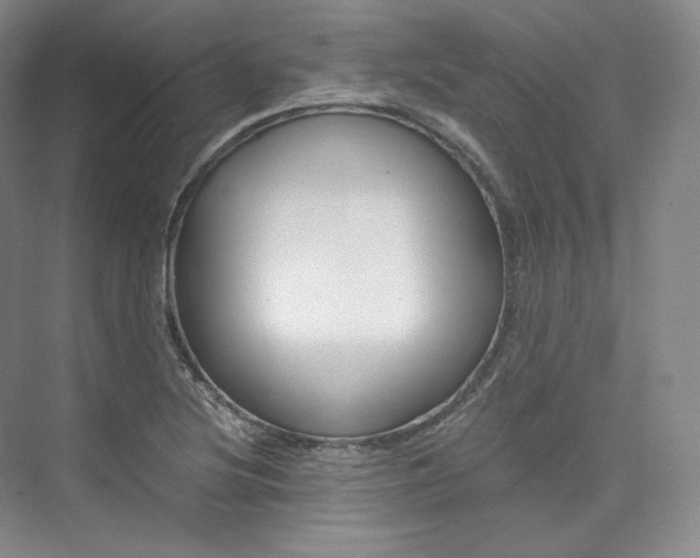 X0000073901220200608110927
