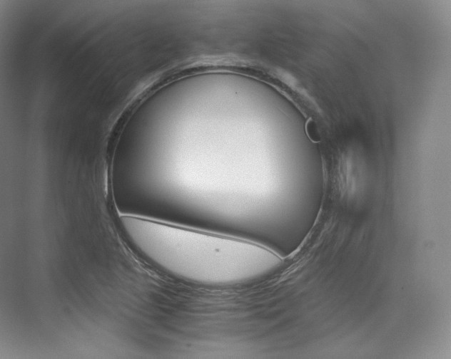 X0000073901221200608110927