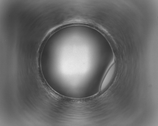 X0000073901222200608110927