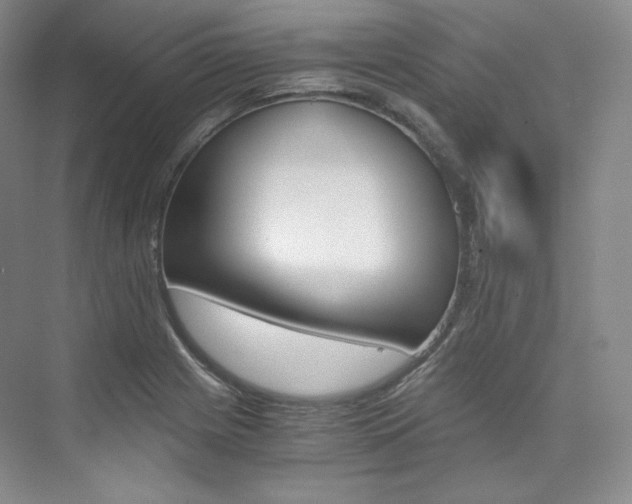 X0000073901225200608110927