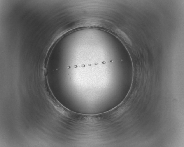 X0000073901226200608110927