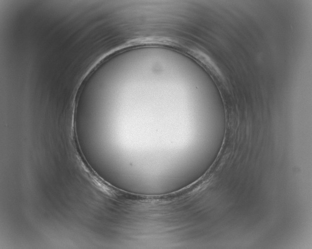 X0000073901228200608110927