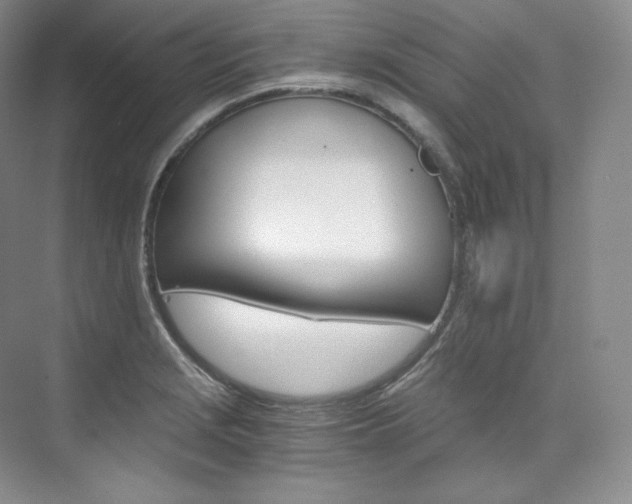 X0000073901229200608110927