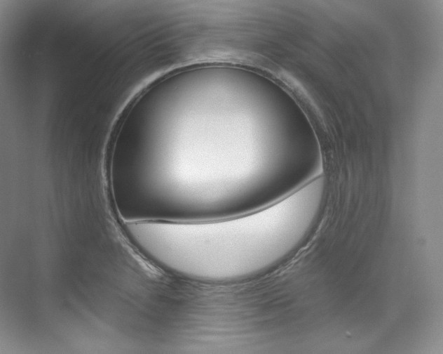 X0000073901230200608110927