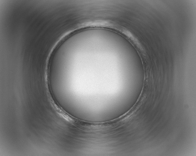 X0000073901232200608110927
