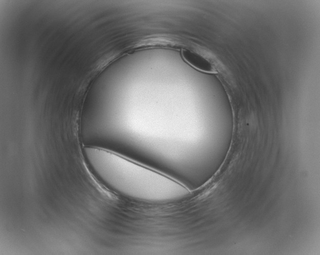 X0000073901233200608110927