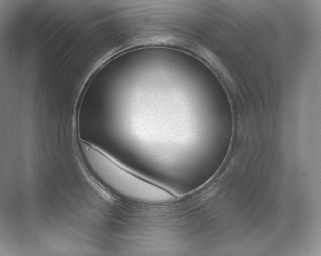 X0000073901234200608110927