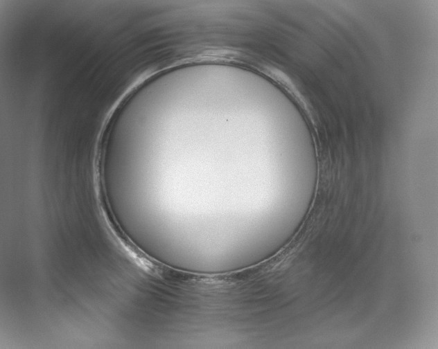 X0000073901235200608110927