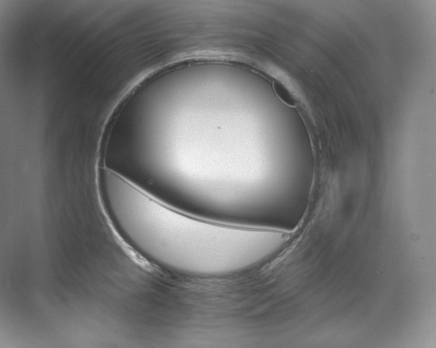 X0000073901237200608110927