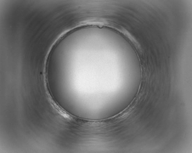 X0000073901240200608110927