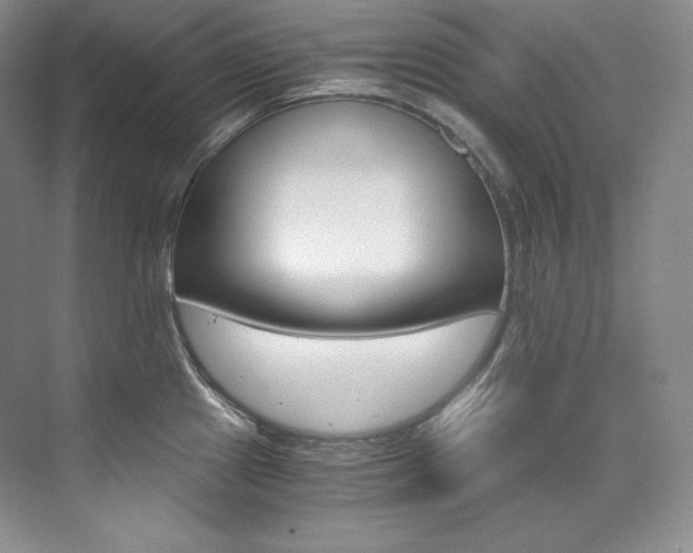 X0000073901241200608110927