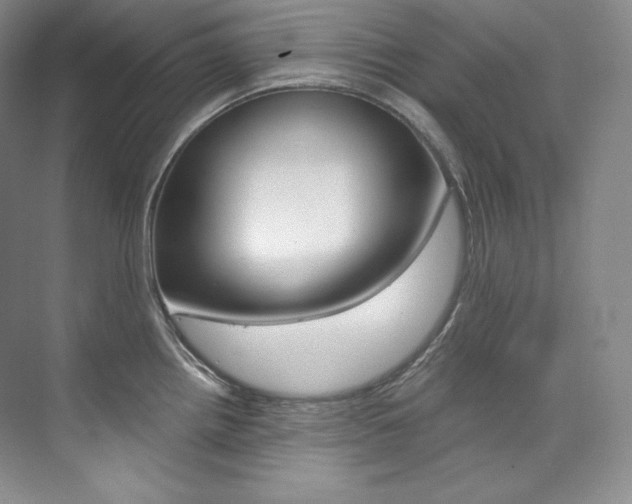 X0000073901242200608110927
