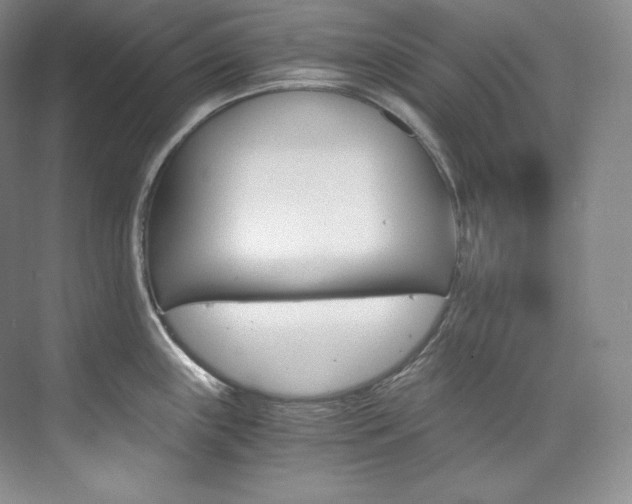 X0000073901243200608110927