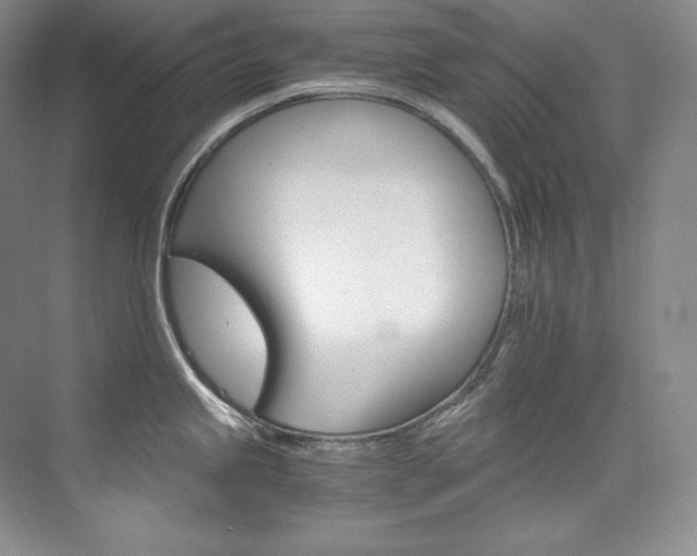 X0000073901245200608110927