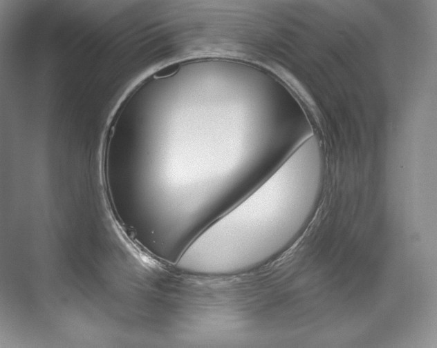 X0000073901246200608110927