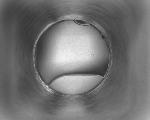 X0000073901248200608110927