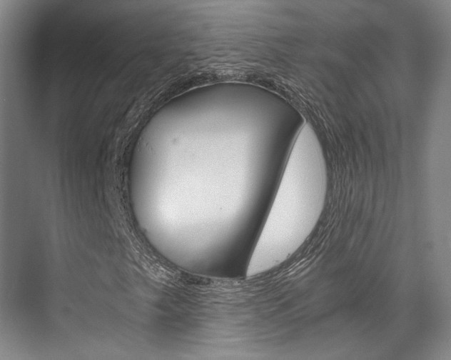 X0000073901249200608110926