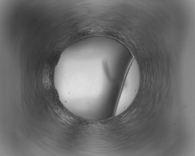 X0000073901250200608110926