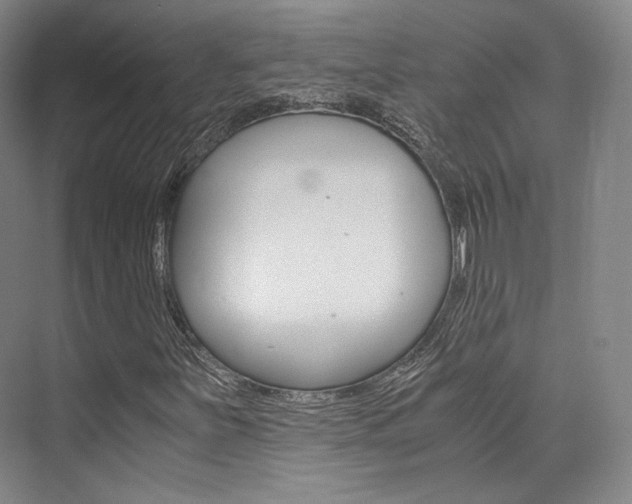 X0000073901251200608110926