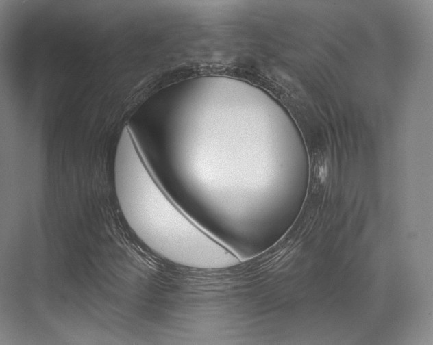 X0000073901252200608110926