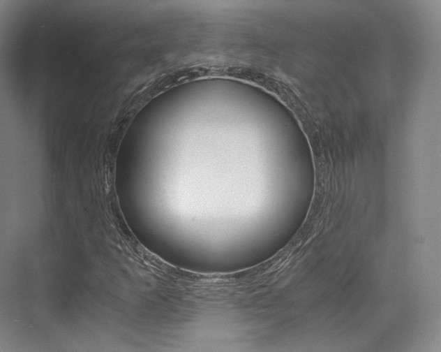 X0000073901253200608110926
