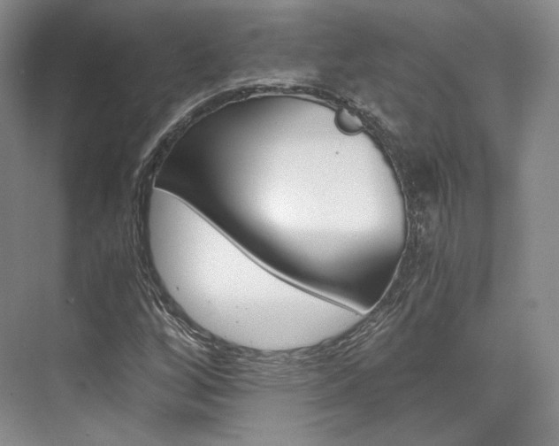 X0000073901256200608110926