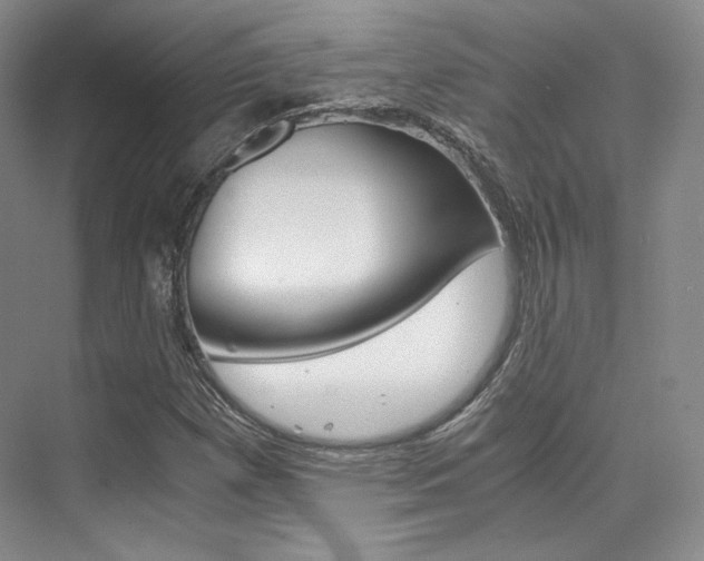 X0000073901257200608110926