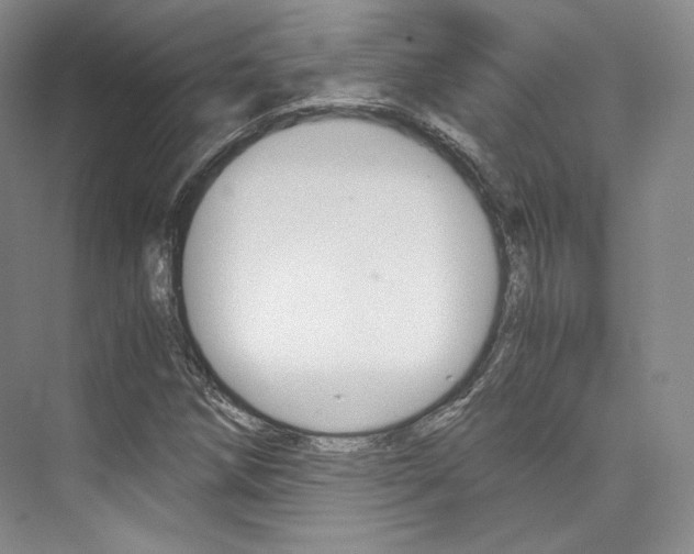X0000073901258200608110926