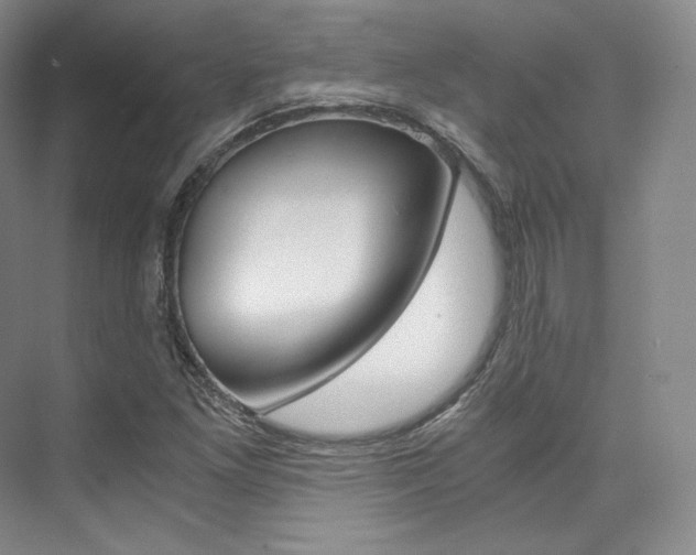 X0000073901261200608110926