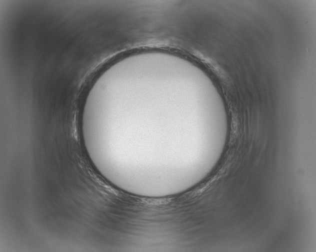 X0000073901262200608110926