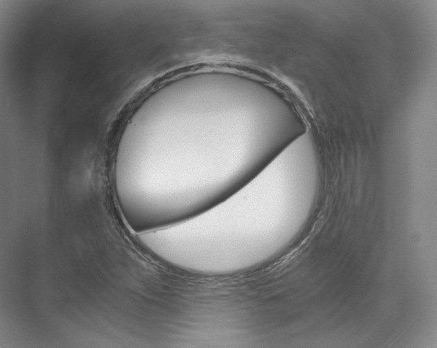 X0000073901263200608110926
