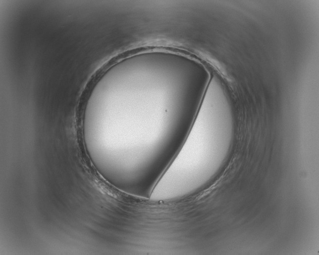 X0000073901264200608110926