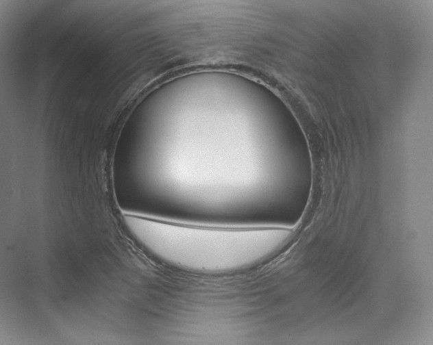X0000073901265200608110926