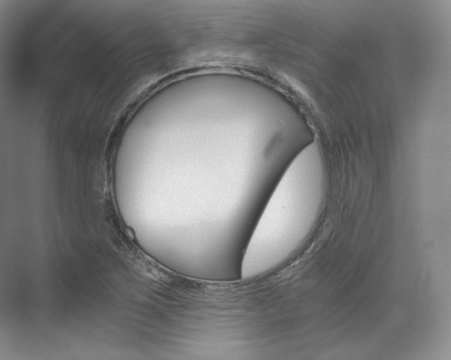 X0000073901267200608110926