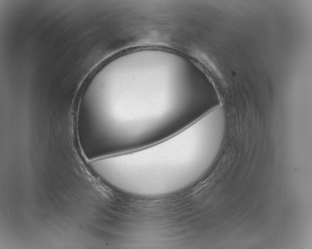 X0000073901268200608110926