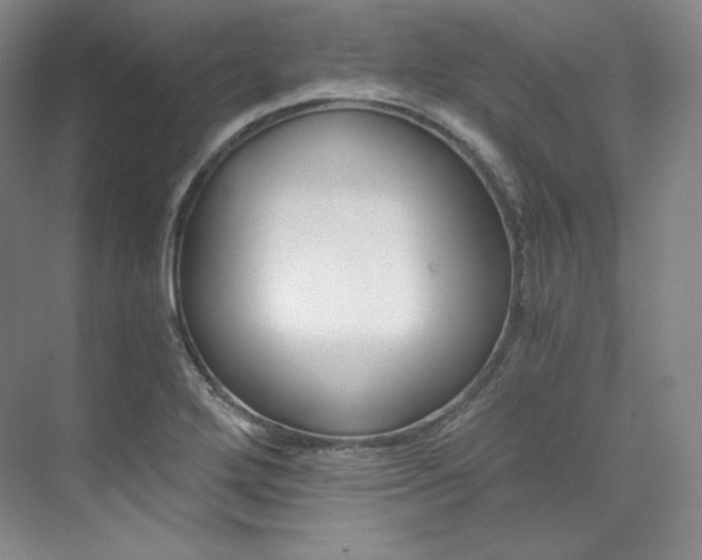 X0000073901272200608110926