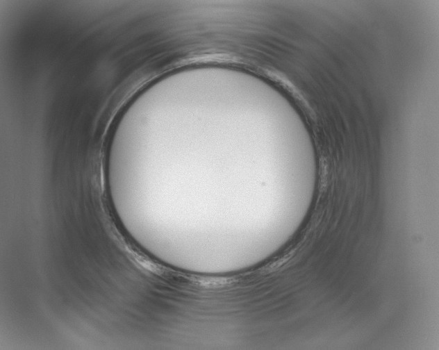 X0000073901274200608110926
