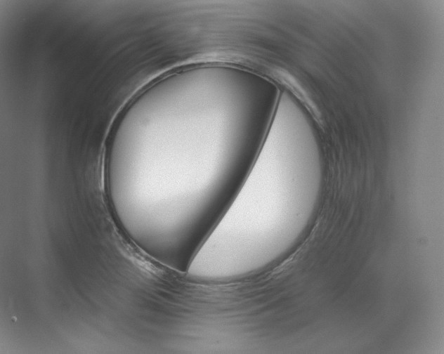 X0000073901276200608110926