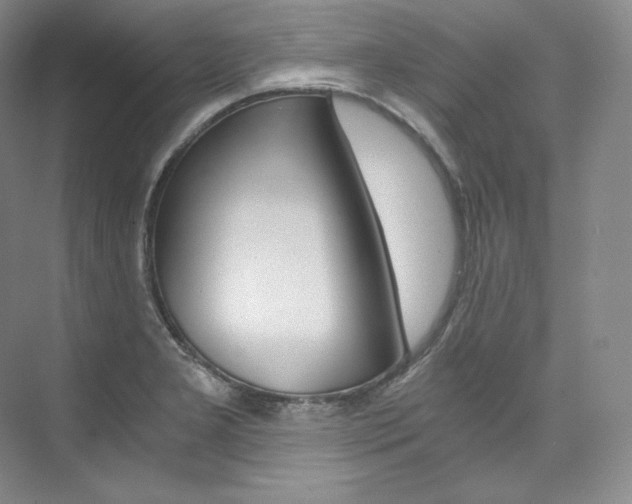 X0000073901277200608110926